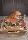 Zwei hausgemachte Cheeseburger — Stockfoto