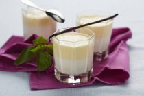 Closeup view of wine foam cream with vanilla pods — Stock Photo