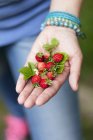 Woman holding wild strawberries — Stock Photo