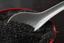 Black sesame seeds — Stock Photo