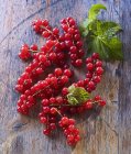 Ribes rosso su ramo e foglie — Foto stock
