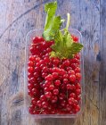 Redcurrants in a plastic punnet — Stock Photo