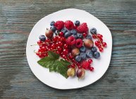 Летние ягоды на белой тарелке — стоковое фото