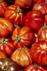 Fresh Beefsteak tomatoes — Stock Photo