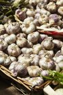 Dried bulbs of garlic — Stock Photo