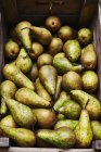 Caja de peras maduras - foto de stock