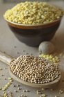 Mustard seeds on spoon — Stock Photo