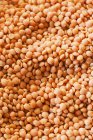 Close-up vista de lentilhas vermelhas heap — Fotografia de Stock