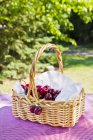 Basket of fresh picked cherries — Stock Photo