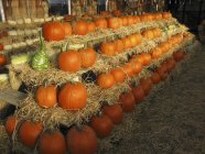 Pumpkins stacked in barn — Stock Photo