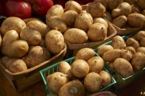 Baskets of raw potatoes — Stock Photo