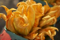 Fresh Courgette flowers in carton — Stock Photo