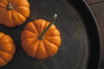 Three mini pumpkins — Stock Photo