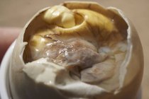 Uovo d'anatra fecondato bollito — Foto stock