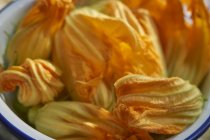 Fresh courgette flowers — Stock Photo
