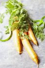 Tres zanahorias frescas - foto de stock