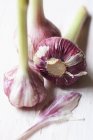 Bulbos de ajo púrpura fresco - foto de stock