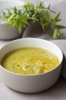 Vegetable soup and fresh herbs — Stock Photo