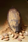 Cocoa beans and cocoa powder — Stock Photo