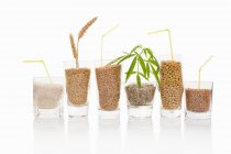 Різні зерна і насіння — стокове фото