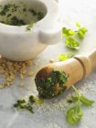 Pesto de manjericão e ingredientes — Fotografia de Stock