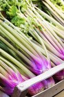 Pink celery in a crate at a market stall outdoors — Stock Photo