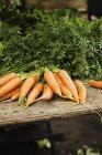Bundles of fresh carrots — Stock Photo