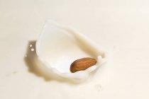Almond falling into milk — Stock Photo