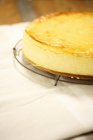 Cheesecake on wire rack — Stock Photo