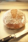 Loaf of potato bread — Stock Photo