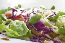 Gemischter Salat mit Kohl — Stockfoto