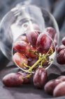 Rote Trauben im Weinglas — Stockfoto