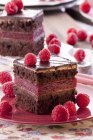 Chocolate sponge cake — Stock Photo