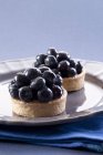 Blueberry tartlets on plate — Stock Photo