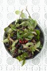 Frisch gepflückte Aronia-Beeren mit Blättern — Stockfoto
