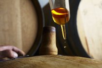 Closeup view of a siphoning schnapps taster from a barrel — Stock Photo