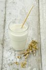 Склянка соєвого молока — стокове фото