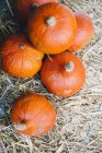 Abóboras cruas de laranja — Fotografia de Stock