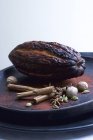 Nahaufnahme einer Kakaofrucht und Gewürzen auf einem schwarzen Holzteller — Stockfoto