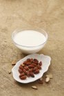 Миндальное молоко и миндаль — стоковое фото
