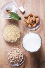 Ingredientes para la leche vegana - foto de stock