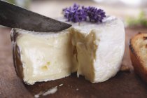 Cortar queso camembert - foto de stock