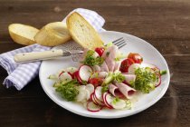Sausage salad and radishes — Stock Photo