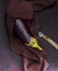 Свіжий промитий баклажан на фіолетовій тканині — стокове фото