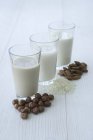 Avellana y leche de avellana - foto de stock