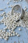 Scattered soya beans with sieve — Stock Photo
