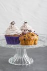 Cupcakes com sabugueiros e creme de sabugueiro — Fotografia de Stock