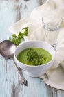 Pea soup with parsley in bowl — Stock Photo