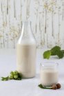 Hazelnut milk in bottle — Stock Photo