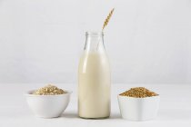 Bottle of oat milk — Stock Photo